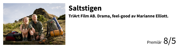 Saltstigen
