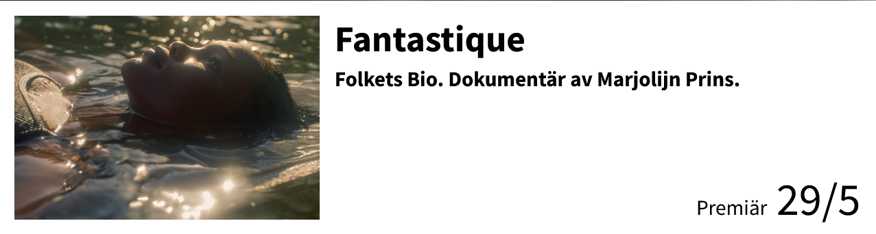 FANTASTIQUE