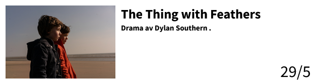 THE THING WITH FEATHERS